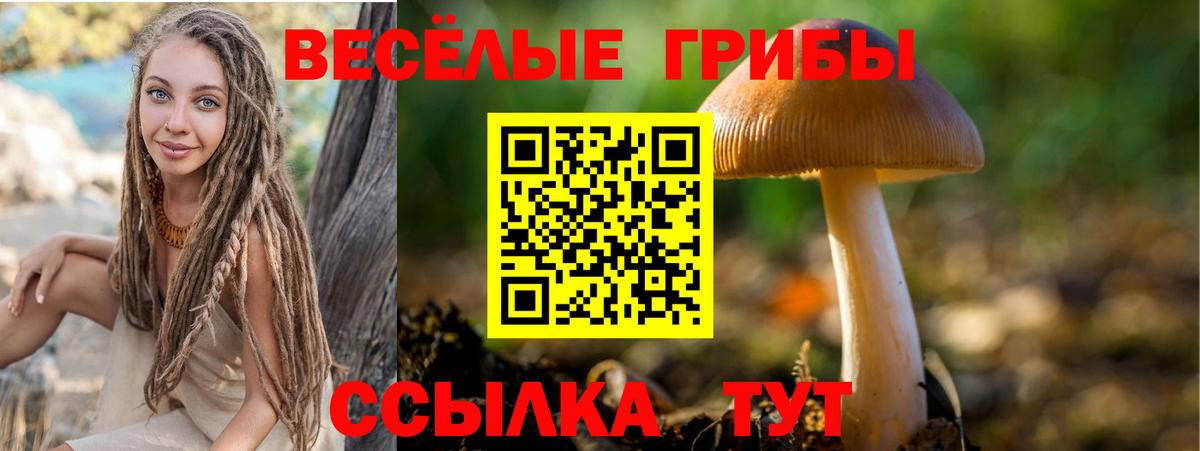 Курск  Псилоцибиновые грибы Magic Shrooms  Вход с VPN 